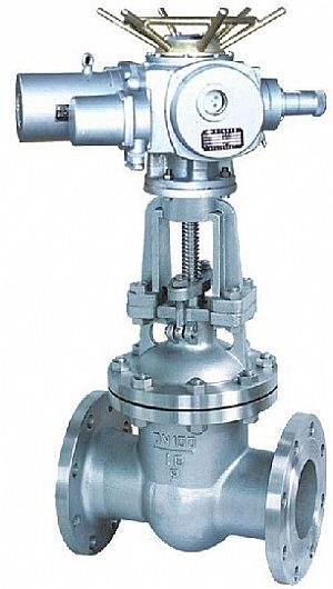 z941h늄�(d��ng)�l�y